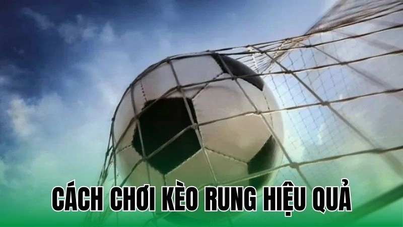 Cách Chơi Kèo Rung - Nắm Bắt Thời Cơ, Kiếm Tiền Nhanh 8 cach choi keo rung hieu qua