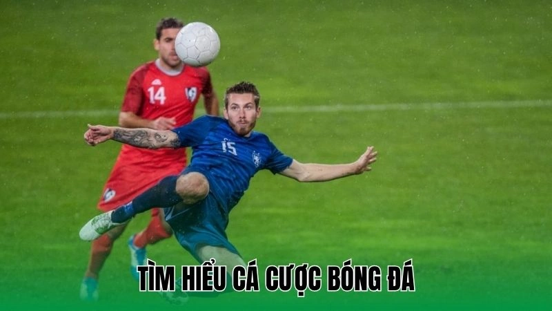 Tìm hiểu cá cược bóng đá