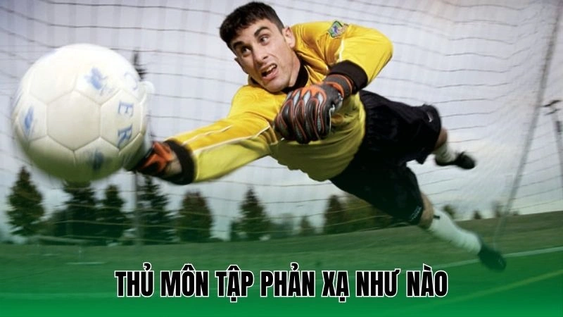 Thủ môn tập phản xạ như nào