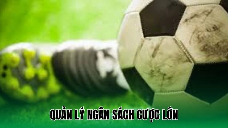 Quản lý ngân sách cược lớn